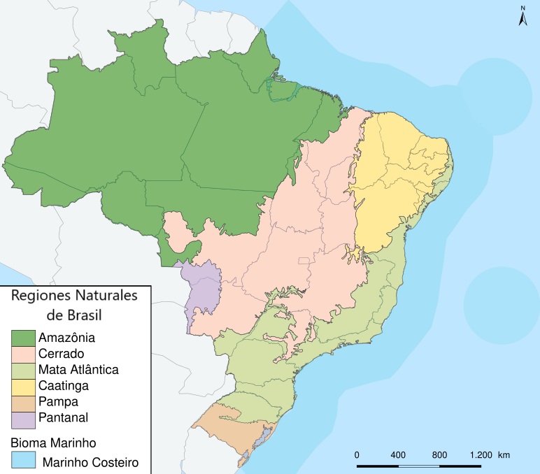 Mapa Brasil: Regiones naturales Mapa Brasil: Regiones naturales